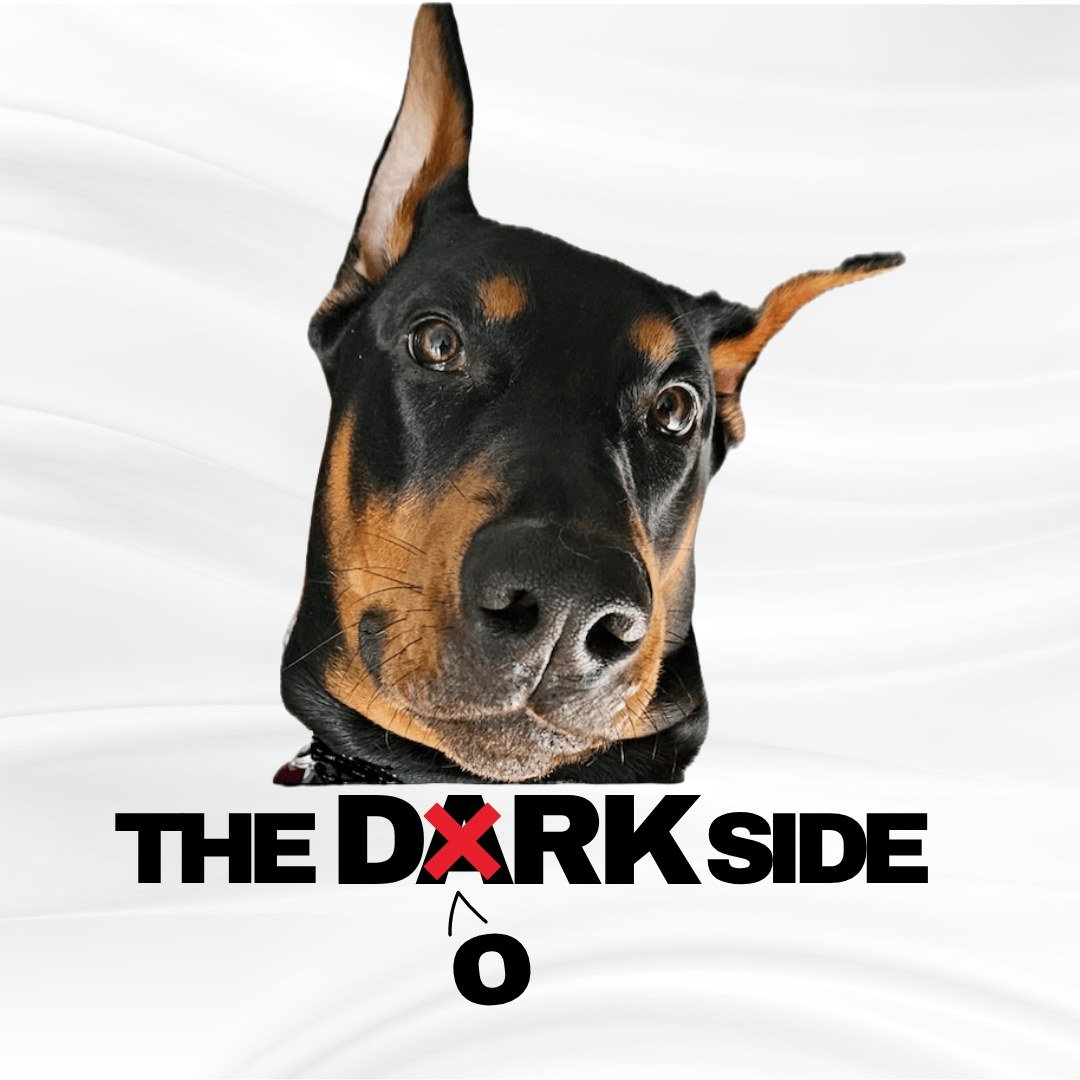 The Dork Side